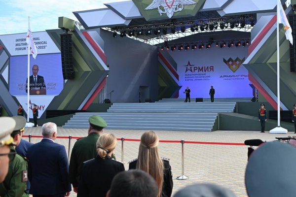 Официальный магазины котиков