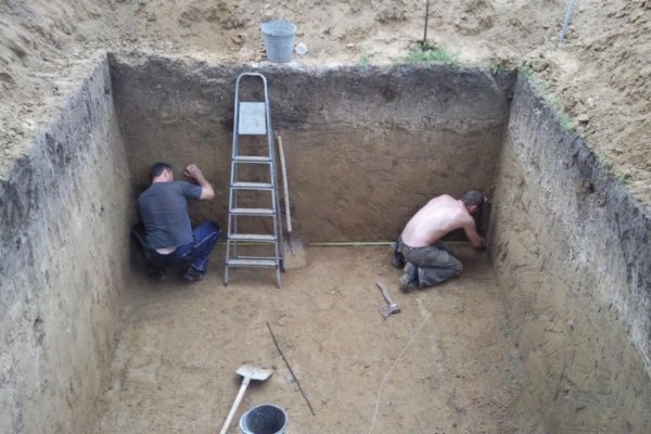 Krab6.cc - Профессиональные платформа